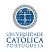 soltrafego, carlos oliveira, transito, parques estacionamento, mobiliario urbano
