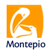soltrafego, carlos oliveira, transito, parques estacionamento, mobiliario urbano