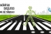 soltrafego, carlos oliveira, transito, parques estacionamento, mobiliario urbano