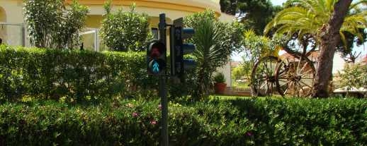 soltrafego, carlos oliveira, transito, parques estacionamento, mobiliario urbano